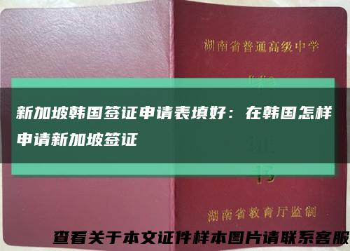 新加坡韓國簽證申請表填好：在韓國怎樣申請新加坡簽證縮略圖
