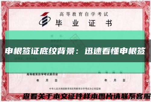 申根簽證底紋背景：迅速看懂申根簽縮略圖