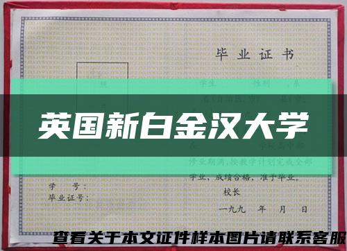 英國新白金漢大學縮略圖
