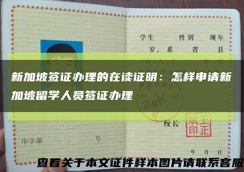 新加坡簽證辦理的在讀證明：怎樣申請新加坡留學人員簽證辦理縮略圖