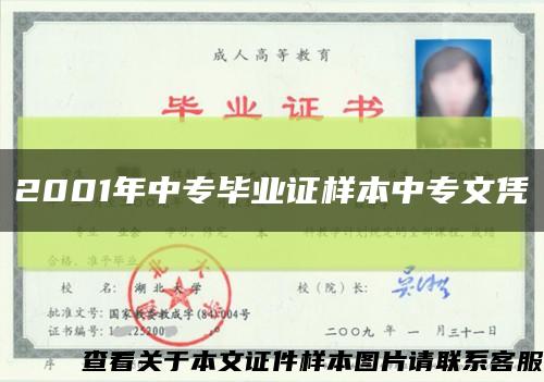 2001年中專畢業證樣本中專文憑縮略圖