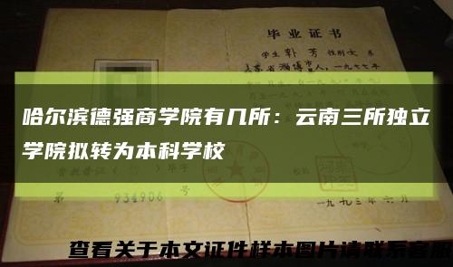 哈爾濱德強商學院有幾所：云南三所獨立學院擬轉為本科學?？s略圖