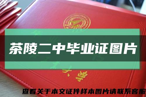 茶陵二中畢業證圖片縮略圖