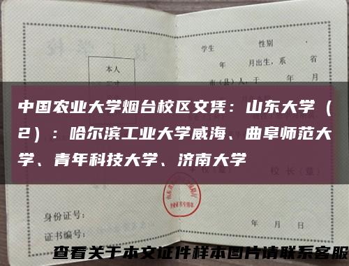 中國農業大學煙臺校區文憑：山東大學（2）：哈爾濱工業大學威海、曲阜師范大學、青年科技大學、濟南大學縮略圖