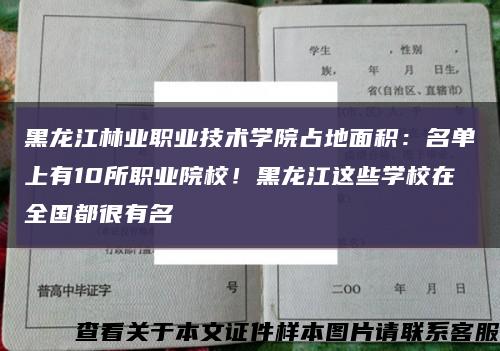 黑龍江林業職業技術學院占地面積：名單上有10所職業院校！黑龍江這些學校在全國都很有名縮略圖