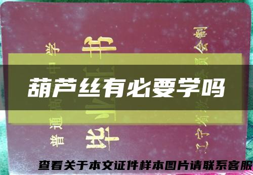 葫蘆絲有必要學嗎縮略圖
