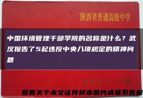 中國環境管理干部學院的名稱是什么？武漢報告了5起違反中央八項規定的精神問題縮略圖