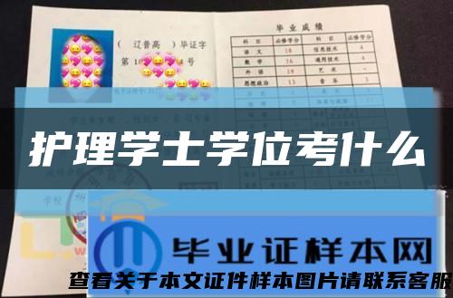 護理學士學位考什么縮略圖