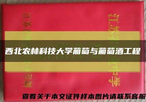 西北農林科技大學葡萄與葡萄酒工程縮略圖