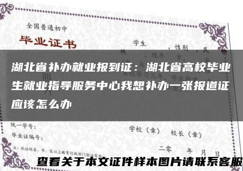 湖北省補辦就業報到證：湖北省高校畢業生就業指導服務中心我想補辦一張報道證應該怎么辦縮略圖