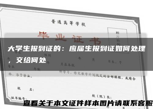 大學生報到證的：應屆生報到證如何處理，交給何處縮略圖