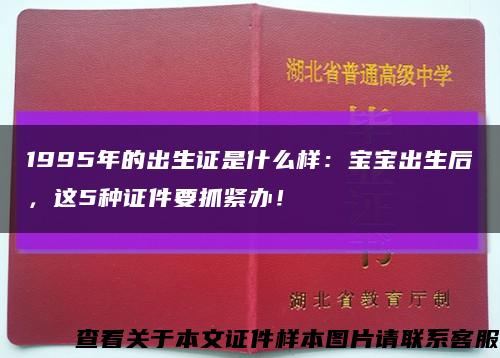 1995年的出生證是什么樣：寶寶出生后，這5種證件要抓緊辦！縮略圖