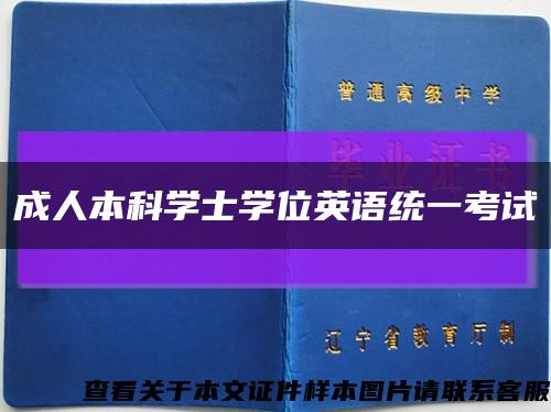 成人本科學士學位英語統一考試縮略圖