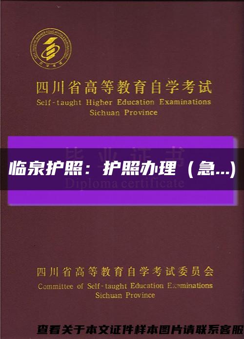臨泉護照：護照辦理（急...)縮略圖