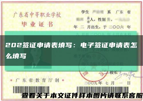 202簽證申請表填寫：電子簽證申請表怎么填寫縮略圖