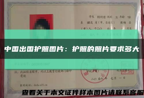 中國出國護照圖片：護照的照片要求多大縮略圖