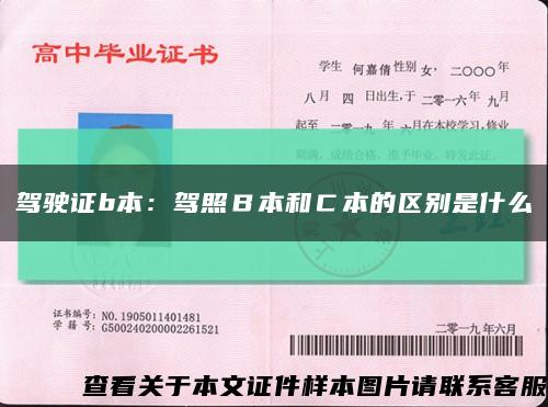 駕駛證b本：駕照Ｂ本和Ｃ本的區別是什么縮略圖