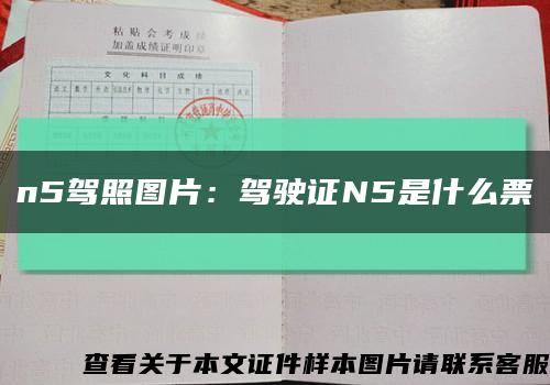 n5駕照圖片：駕駛證N5是什么票縮略圖