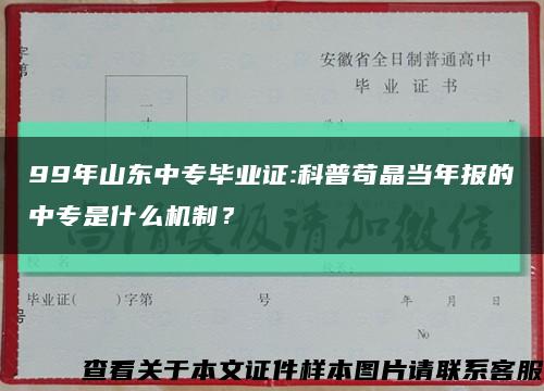 99年山東中專畢業證:科普茍晶當年報的中專是什么機制？縮略圖
