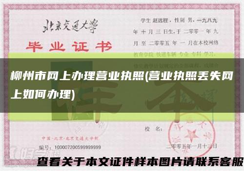 柳州市網上辦理營業執照(營業執照丟失網上如何辦理)縮略圖