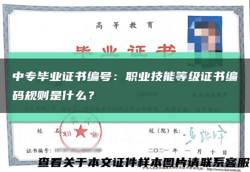 中專畢業證書編號：職業技能等級證書編碼規則是什么？縮略圖