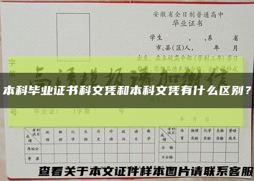 本科畢業證書科文憑和本科文憑有什么區別？縮略圖