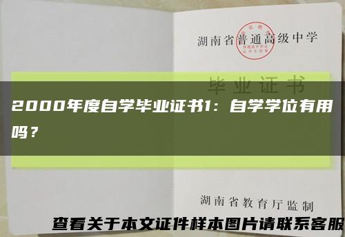 2000年度自學畢業證書1：自學學位有用嗎？縮略圖