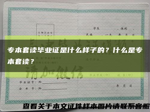 專本套讀畢業證是什么樣子的？什么是專本套讀？縮略圖