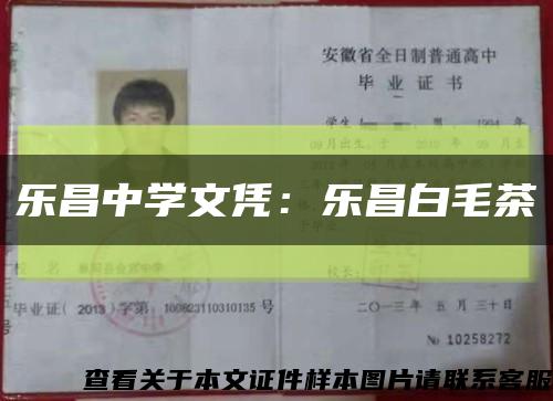 樂昌中學文憑：樂昌白毛茶縮略圖