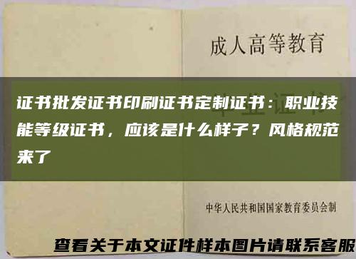 證書批發證書印刷證書定制證書：職業技能等級證書，應該是什么樣子？風格規范來了→縮略圖