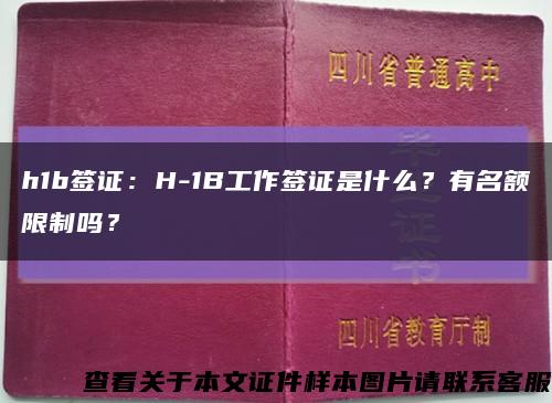 h1b簽證：H-1B工作簽證是什么？有名額限制嗎？縮略圖