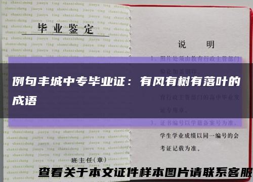 例句豐城中專畢業證：有風有樹有落葉的成語縮略圖
