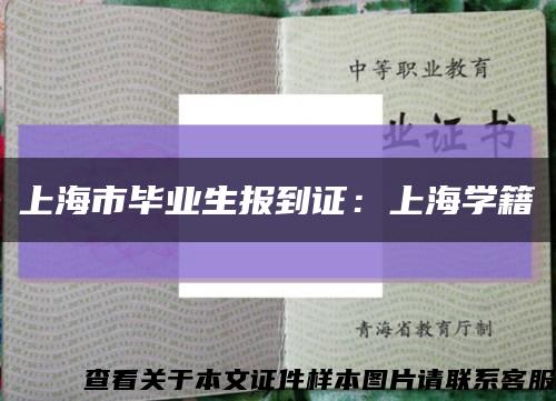 上海市畢業生報到證：上海學籍縮略圖