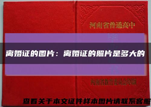 離婚證的圖片：離婚證的照片是多大的縮略圖