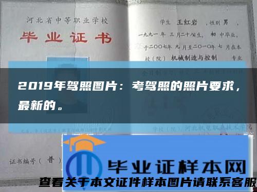 2019年駕照圖片：考駕照的照片要求，最新的?？s略圖