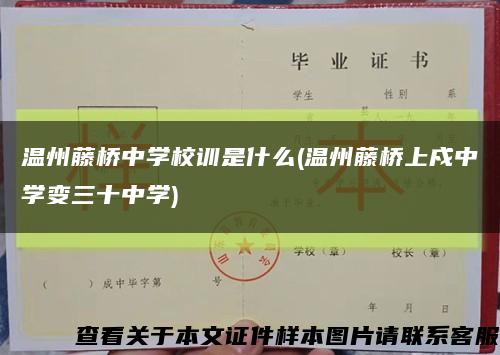 溫州藤橋中學校訓是什么(溫州藤橋上戍中學變三十中學)縮略圖