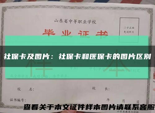 社?？皥D片：社?？ê歪t?？ǖ膱D片區別縮略圖