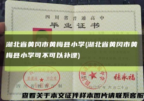 湖北省黃岡市黃梅縣小學(湖北省黃岡市黃梅縣小學可不可以補課)縮略圖