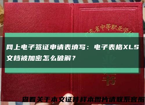 網上電子簽證申請表填寫：電子表格XLS文檔被加密怎么破解？縮略圖