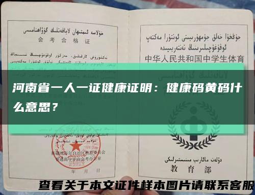 河南省一人一證健康證明：健康碼黃碼什么意思？縮略圖