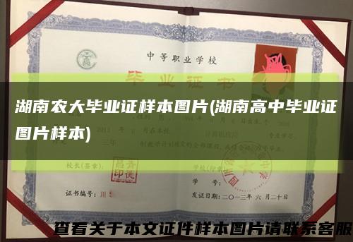 湖南農大畢業證樣本圖片(湖南高中畢業證圖片樣本)縮略圖