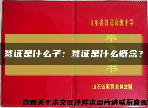 簽證是什么子：簽證是什么概念？縮略圖