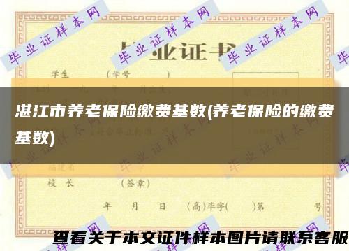 湛江市養老保險繳費基數(養老保險的繳費基數)縮略圖
