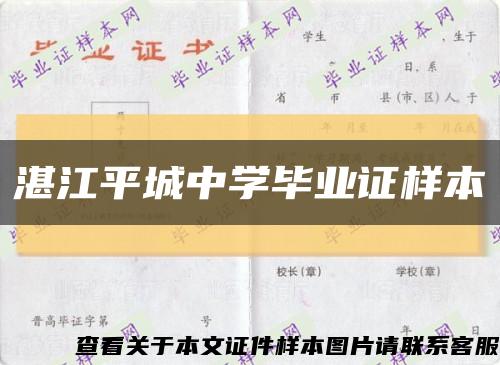 湛江平城中學畢業證樣本縮略圖