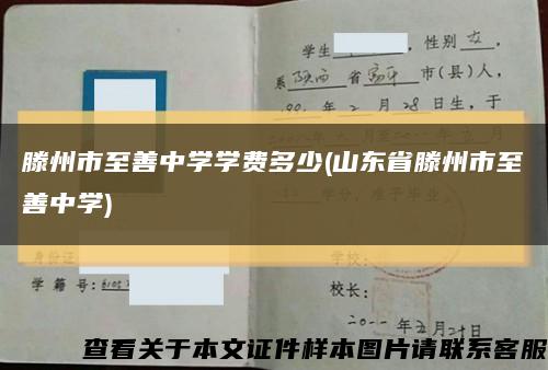 滕州市至善中學學費多少(山東省滕州市至善中學)縮略圖