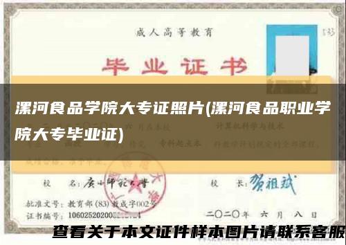 漯河食品學院大專證照片(漯河食品職業學院大專畢業證)縮略圖
