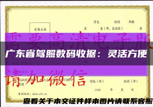 廣東省駕照數碼收據：靈活方便縮略圖