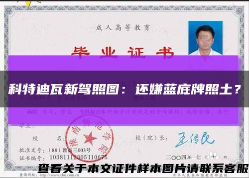 科特迪瓦新駕照圖：還嫌藍底牌照土？縮略圖