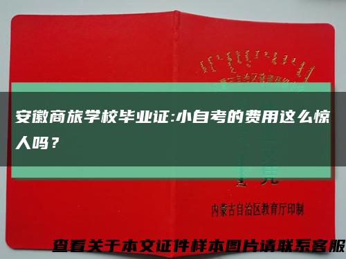 安徽商旅學校畢業證:小自考的費用這么驚人嗎？縮略圖