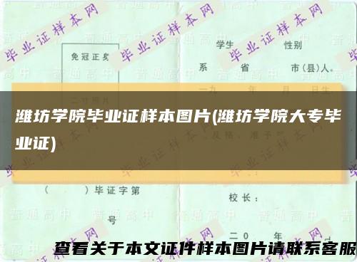 濰坊學院畢業證樣本圖片(濰坊學院大專畢業證)縮略圖